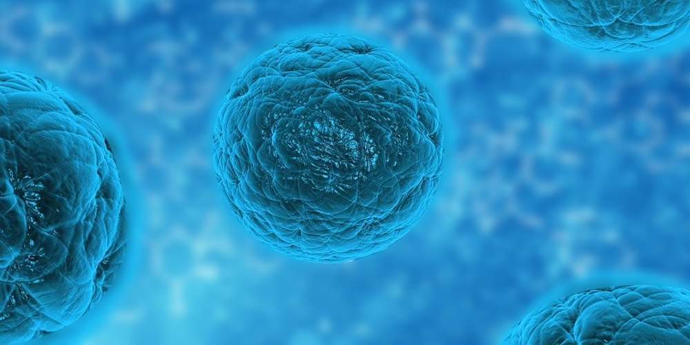 What is “Gut Microbiome” and what it does?