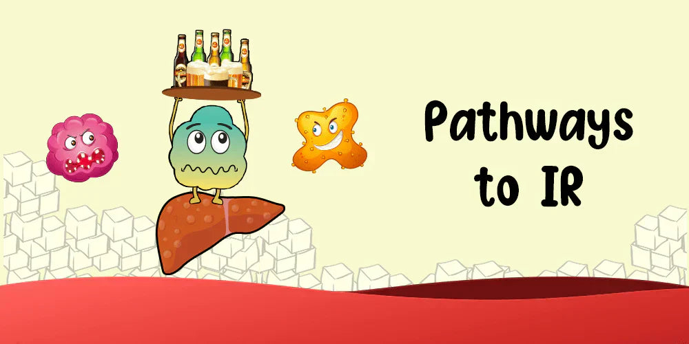 Pathways to Insulin Resistance