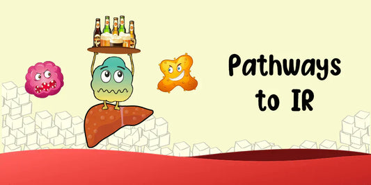 Pathways to Insulin Resistance