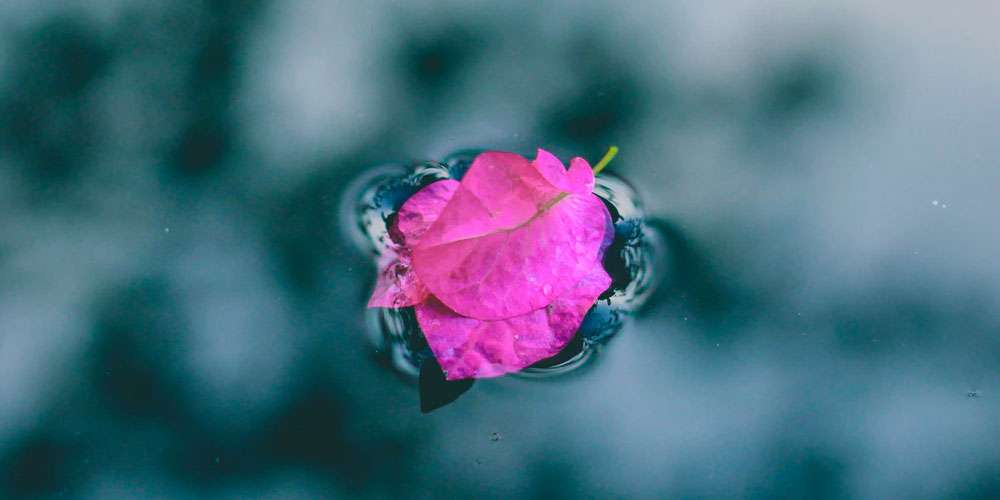 Using meditation to survive the 21st Century